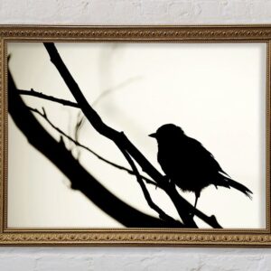 Framed bird