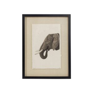 Elephant postcard